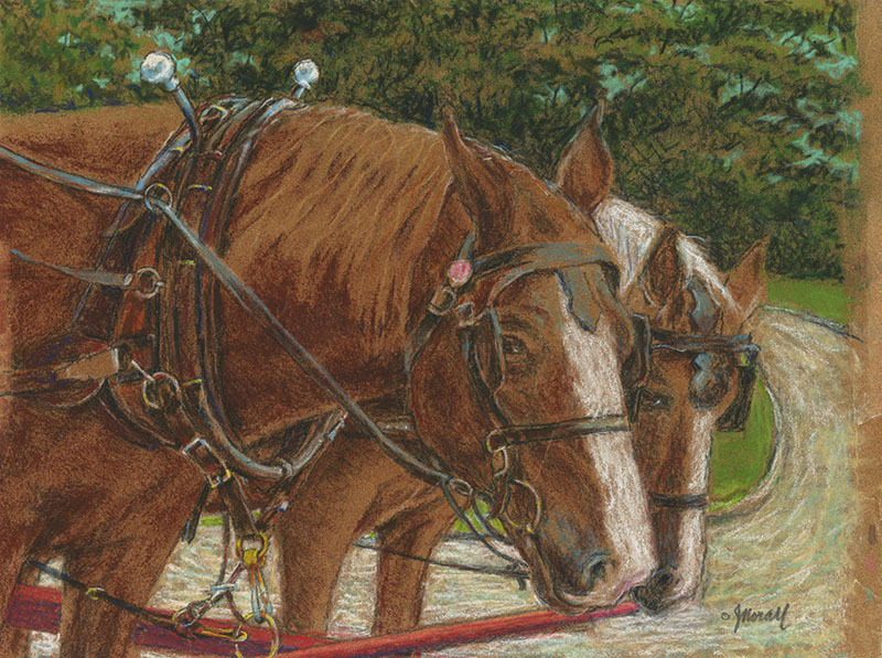 Harness Work Waiting by John Norall