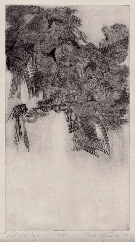 Tree Plumage by Unidentified