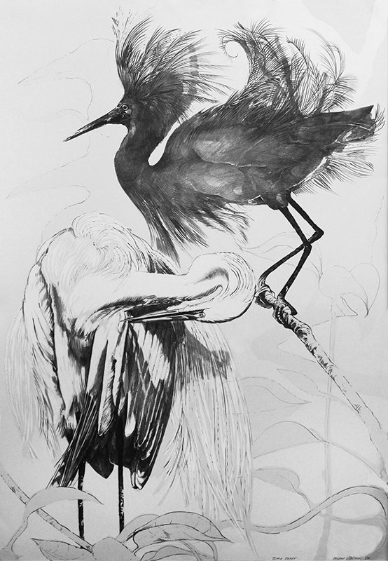 Black Egret by Ellen Lanyon
