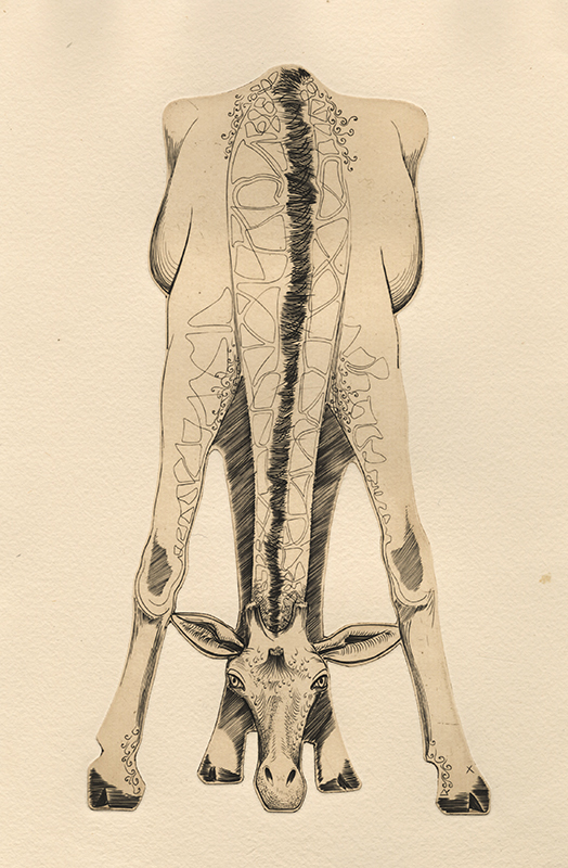 Girafe - pl. X from Bestiaire portfolio by Abram Krol