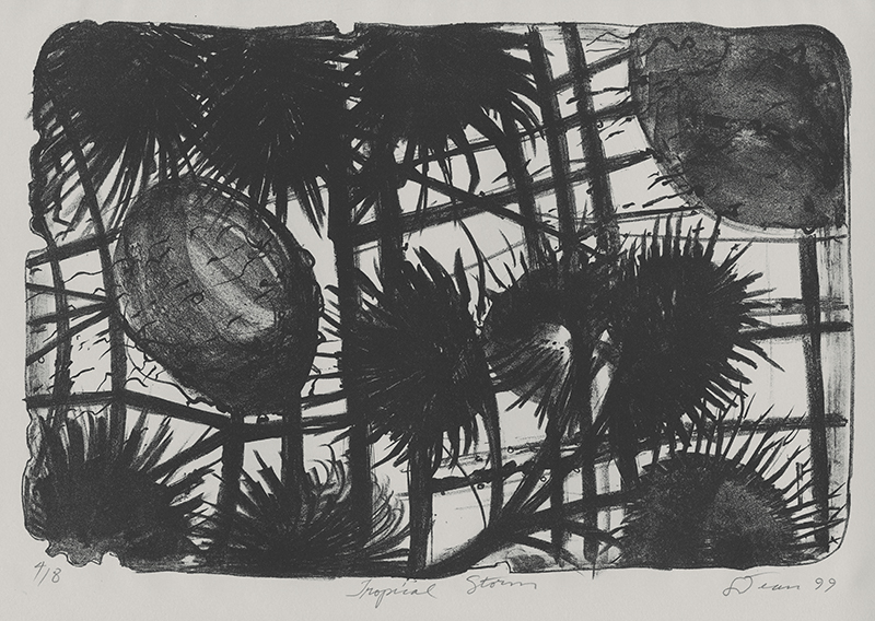 Tropical Storm by Frieda Dean