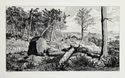 Simplicius in the Wilderness; plate X from Intermezzi, Opus IV by Max Klinger