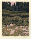 Water Lilies by Gordon Louis Mortensen
